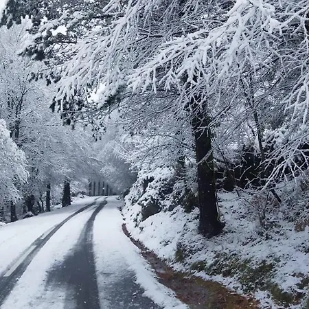Quinta Vale Da Prata Gospodarstwo agroturystyczne *