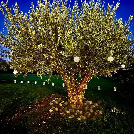 Quinta Vale Da Prata