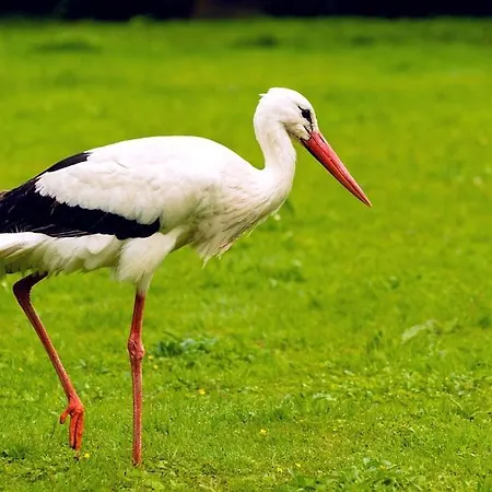 Quinta Vale Da Prata Celorico Da Beira