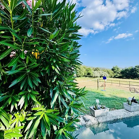 Quinta Vale Da Prata