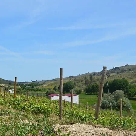 Quinta Vale Da Prata Farm stay Celorico Da Beira