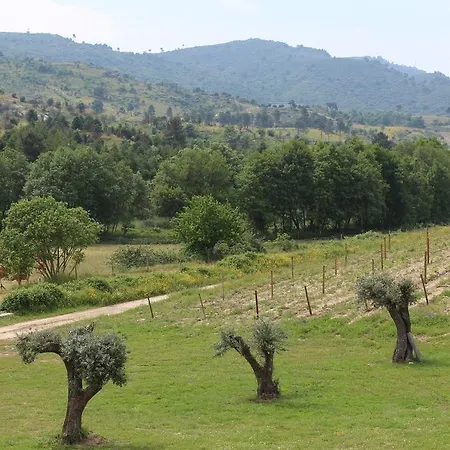 Quinta Vale Da Prata Celorico Da Beira