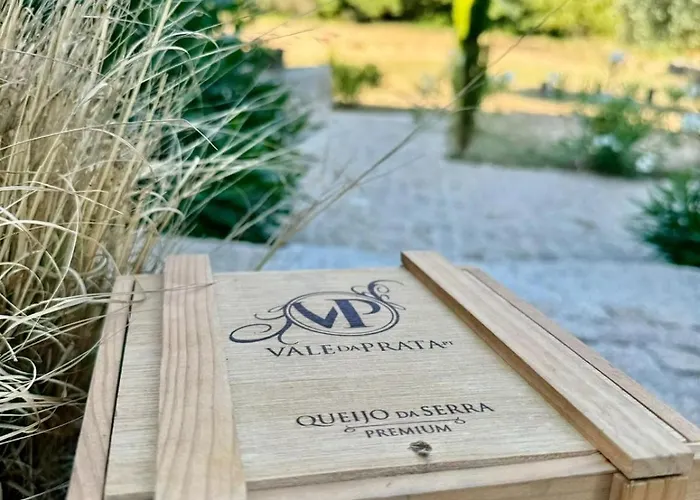 Quinta Vale Da Prata Feriegård Celorico Da Beira
