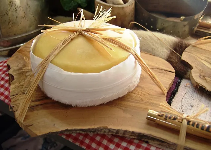 Alojamento de Turismo Rural Quinta Vale Da Prata