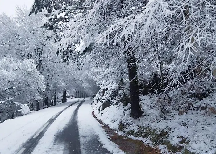 Quinta Vale Da Prata Alojamento de Turismo Rural *