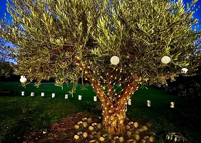 Quinta Vale Da Prata