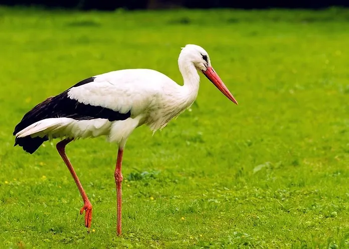 Quinta Vale Da Prata Celorico Da Beira