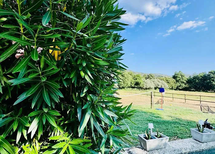 Quinta Vale Da Prata