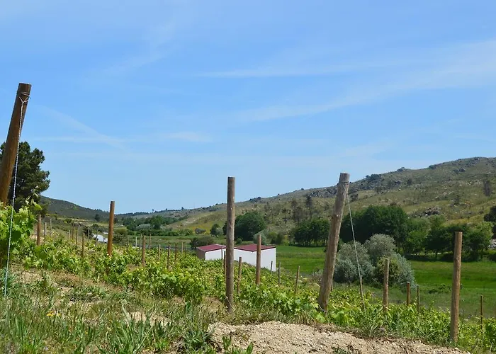 Quinta Vale Da Prata مزرعة للإقامة سيلوريكو دا بيرا