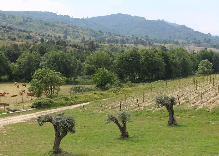 Quinta Vale Da Prata Celorico Da Beira